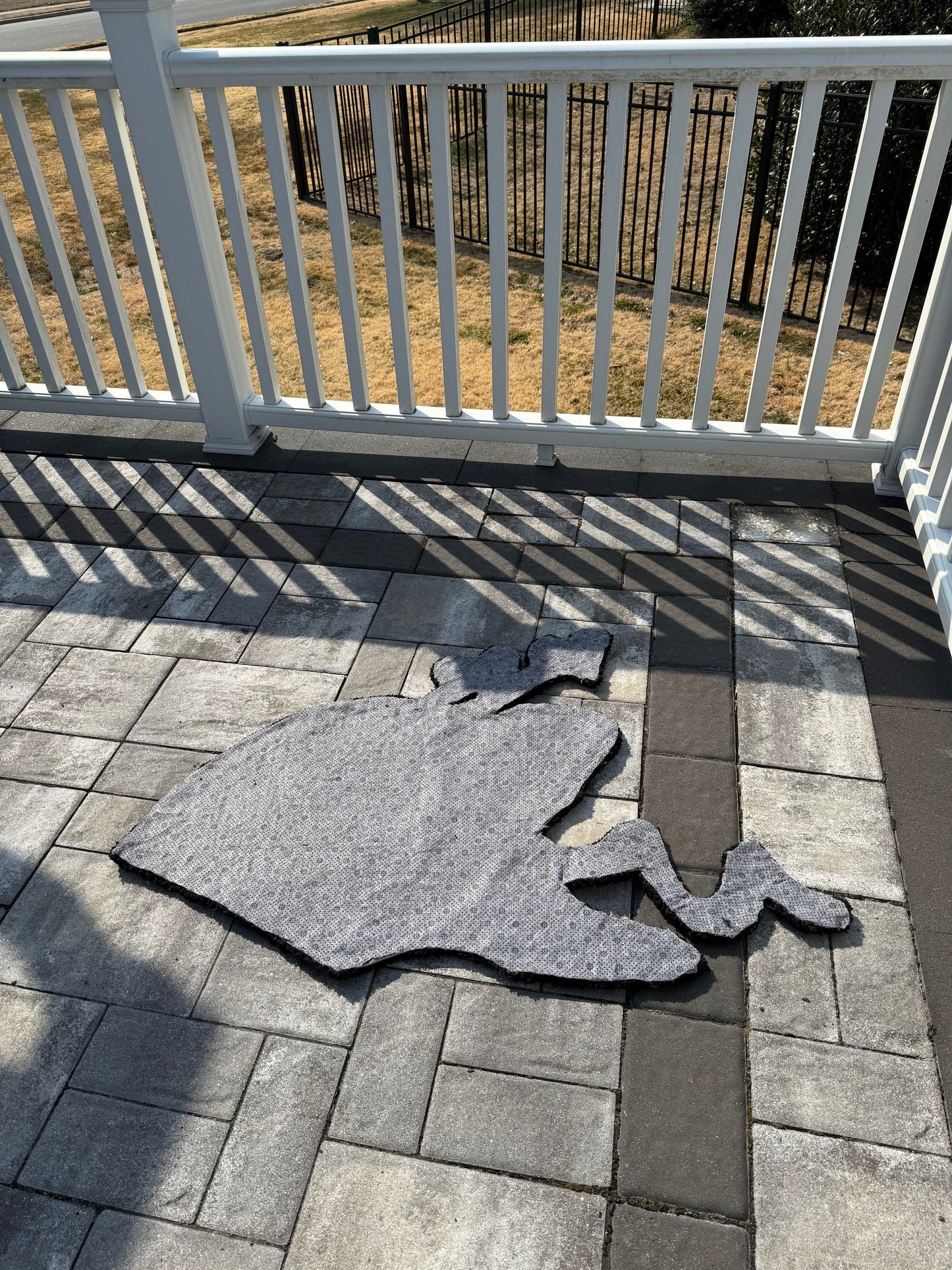 Dolphin Hearts Rug
