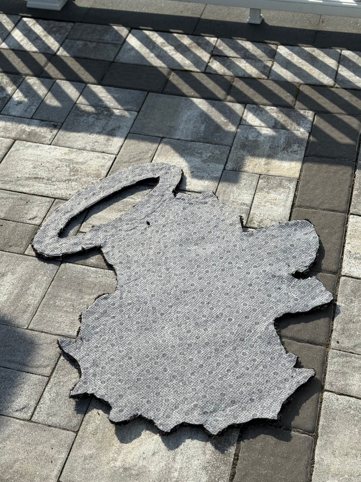 Holy Flames Rug